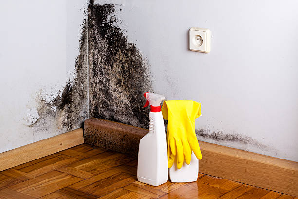 Best Residential water damage restoration  in Mcnair, VA